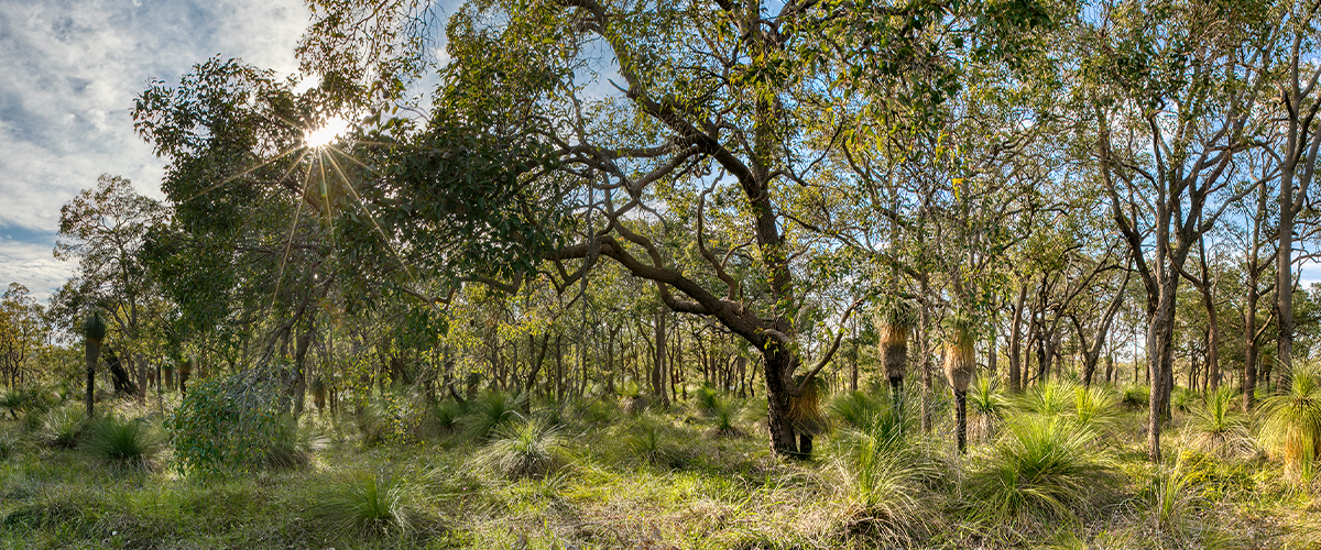 Land and House & Land Packages for Sale near Mundijong